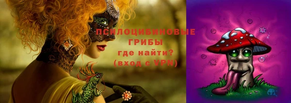 mdpv Бронницы