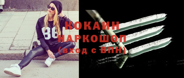 мяу мяу мука Бородино