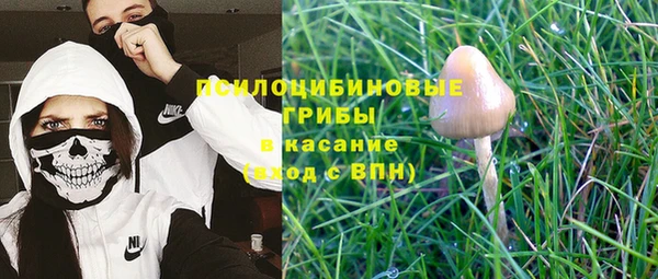 мяу мяу мука Бородино