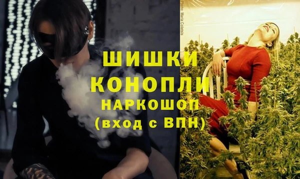 молекула духа Бугульма