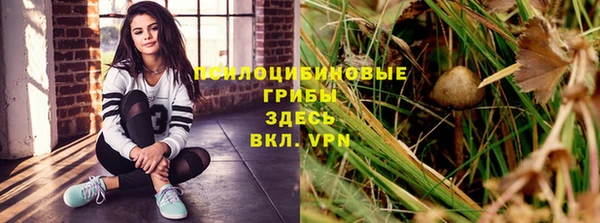 молекула духа Бугульма