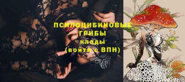 молекула духа Бугульма