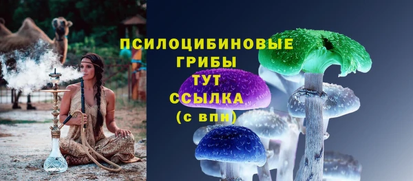 мяу мяу мука Бородино