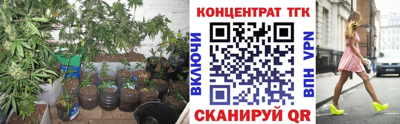 Дистиллят ТГК Wax дарк нет клад Новоуральск купить наркотики сайты