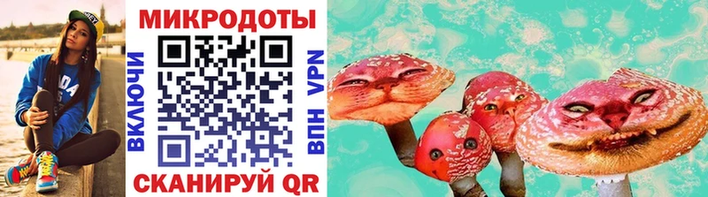 Псилоцибиновые грибы Cubensis  Новоуральск 